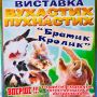 Братик Кролик Ушастых и Пушистых