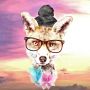 LadyFoxet 19