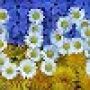 Ukraina Ukraina