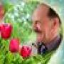 Влад Васильев