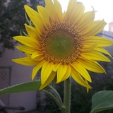 aramat0512