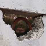 О