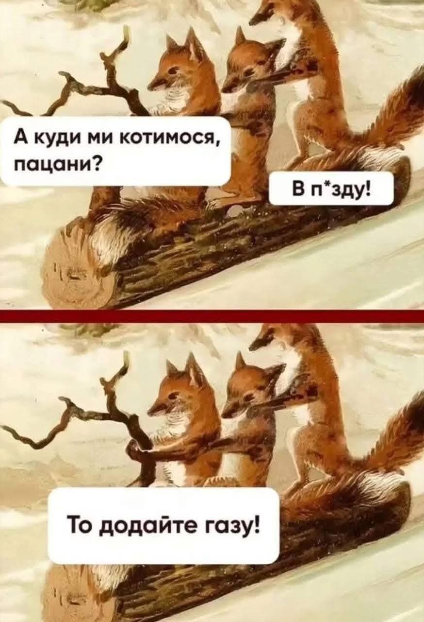 Dmytryshyn Serhii