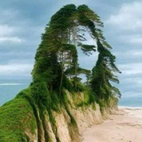 𝕊𝕒𝕞