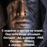 Бродячий пес