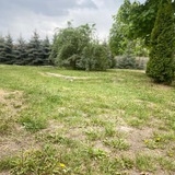 Аріна
