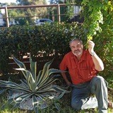 Serj.chernetskiy@gmail.com