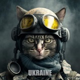 Mironovich