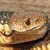 Taipan Poisonous