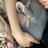 Снежана