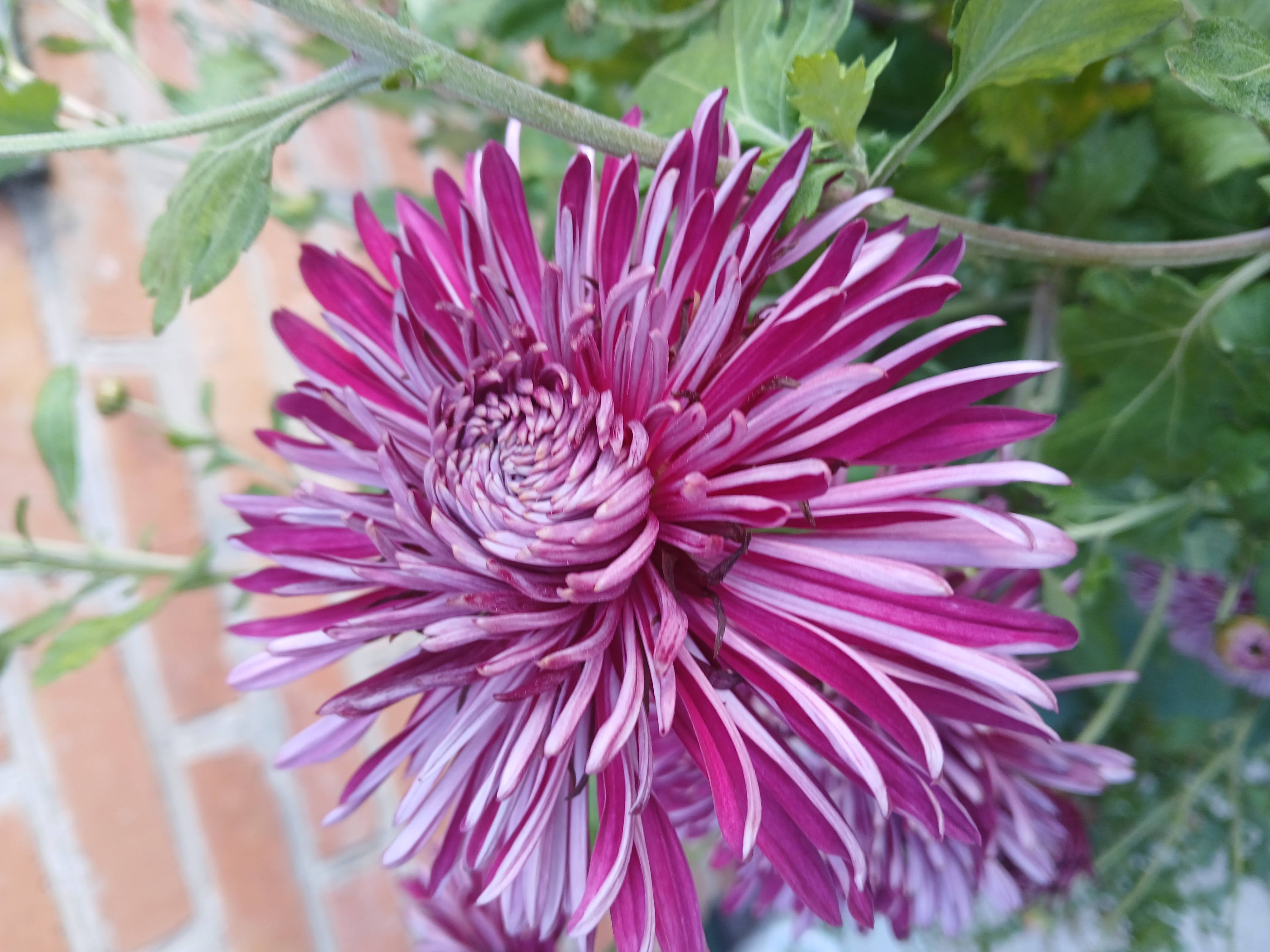 Марина Болбова