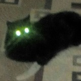 Юрій