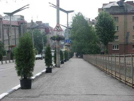 У Тернополі з’явились “екозлодії”, фото №2 на сайті 20minut.ua