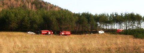 На Тернопільщині врятували природний парк на сайті 20minut.ua На Тернопільщині врятували природний парк , фото №1 на сайті 20minut.ua