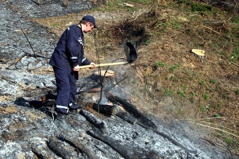 На Тернопільщині врятували природний парк на сайті 20minut.ua На Тернопільщині врятували природний парк , фото №4 на сайті 20minut.ua