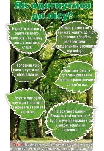 Інфекція потрапляє під час укусу кліща, кажуть лікарі з Тернополя, фото №6 на сайті 20minut.ua