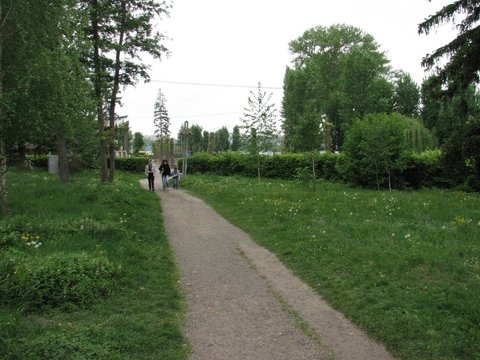 Тернопіль кричить SOS – через сміття, знищені дерева, побиті дороги на сайті 20minut.ua Тернопіль кричить SOS – через сміття, знищені дерева, побиті дороги, фото №4 на сайті 20minut.ua
