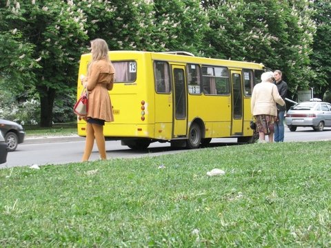 Тернопіль кричить SOS – через сміття, знищені дерева, побиті дороги на сайті 20minut.ua Тернопіль кричить SOS – через сміття, знищені дерева, побиті дороги, фото №3 на сайті 20minut.ua