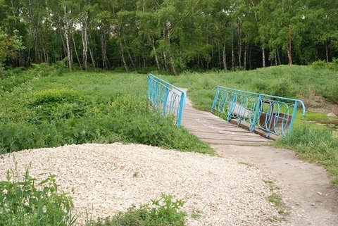 Кому вигідно занедбувати парк "Топільче" на сайті 20minut.ua Кому вигідно занедбувати парк "Топільче", фото №4 на сайті 20minut.ua