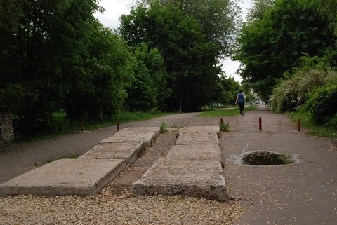 Кому вигідно занедбувати парк "Топільче" на сайті 20minut.ua Кому вигідно занедбувати парк "Топільче", фото №2 на сайті 20minut.ua