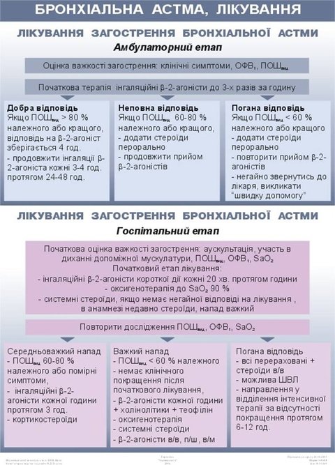 Сучасний підхід до лікування астми – комплексний вплив, фото №3 на сайті 20minut.ua