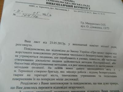 На Ольгу Мазуркевич накинулися собаки з "кліпсами" (ОНОВЛЕНЕ) на сайті 20minut.ua На Ольгу Мазуркевич накинулися собаки з "кліпсами" (ОНОВЛЕНЕ), фото №1 на сайті 20minut.ua