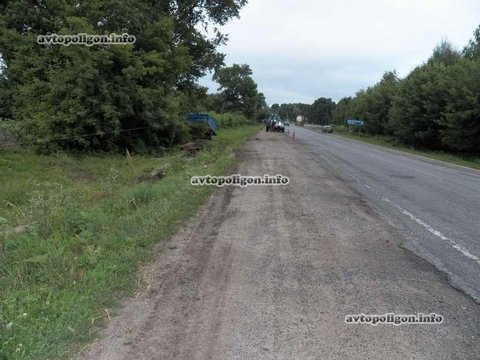 Житомирська область: через корову на дорозі трапилась аварія, фото №6 на сайті 20minut.ua