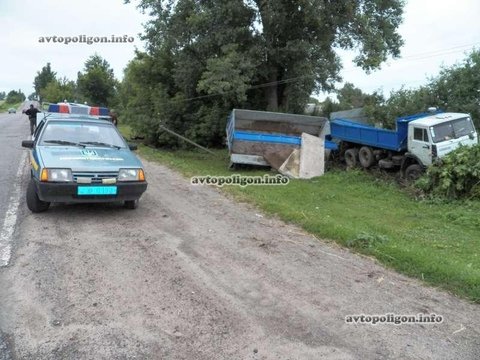 Житомирська область: через корову на дорозі трапилась аварія, фото №1 на сайті 20minut.ua