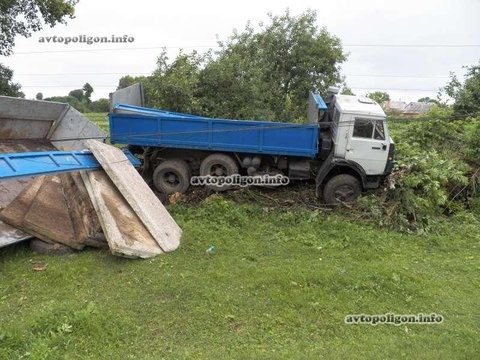 Житомирська область: через корову на дорозі трапилась аварія, фото №2 на сайті 20minut.ua