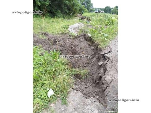 Житомирська область: через корову на дорозі трапилась аварія, фото №7 на сайті 20minut.ua