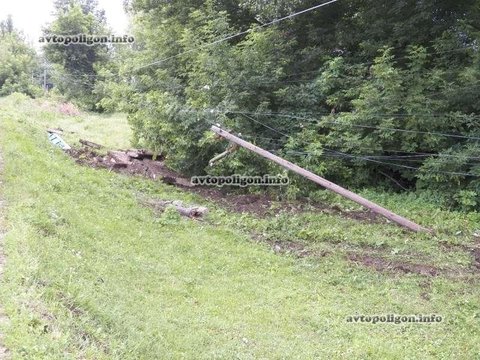 Житомирська область: через корову на дорозі трапилась аварія, фото №4 на сайті 20minut.ua