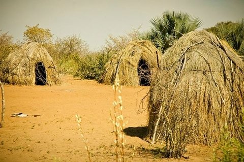 Пустеля Калахарі: місія здійсненна, фото №3 на сайті 20minut.ua