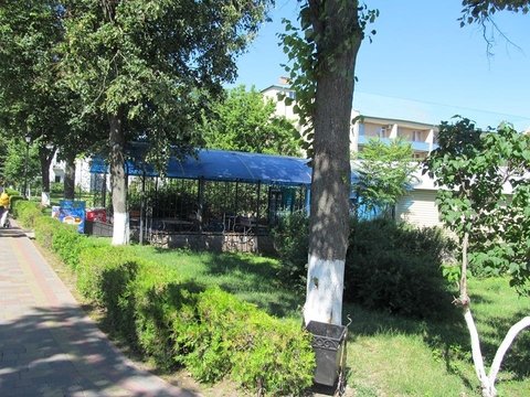 В Житомирі п'ють пиво там, де хочуть на сайті 20minut.ua В Житомирі п'ють пиво там, де хочуть, фото №1 на сайті 20minut.ua