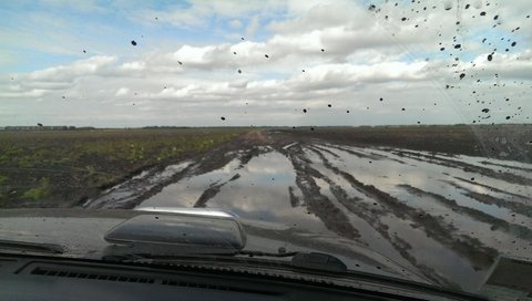 На Житомирщині фермери збирають моркву в екстримальних умовах на сайті 20minut.ua На Житомирщині фермери збирають моркву в екстримальних умовах, фото №3 на сайті 20minut.ua