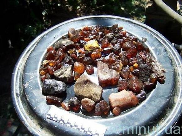 Вінничанин Володимир Продивус потрапив у скандал зі стріляниною на Рівненщині. Що кажуть селяни і сам нардеп?, фото №13 на сайті 20minut.ua