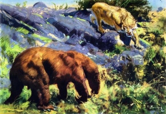 Коли на Тернопіллі жили носороги і мамонти, фото №3 на сайті 20minut.ua