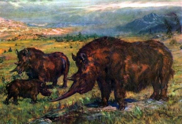 Коли на Тернопіллі жили носороги і мамонти, фото №2 на сайті 20minut.ua