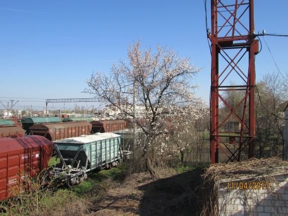В об'єктиві — позитиви і негативи благоустрою Козятина на сайті 20minut.ua В об'єктиві — позитиви і негативи благоустрою Козятина, фото №7 на сайті 20minut.ua