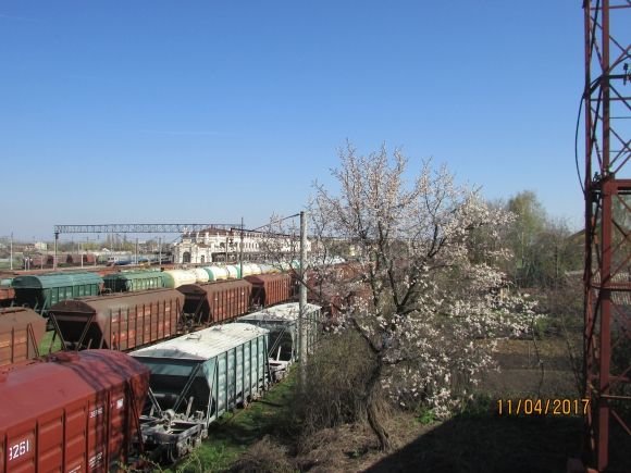 В об'єктиві — позитиви і негативи благоустрою Козятина на сайті 20minut.ua В об'єктиві — позитиви і негативи благоустрою Козятина, фото №8 на сайті 20minut.ua