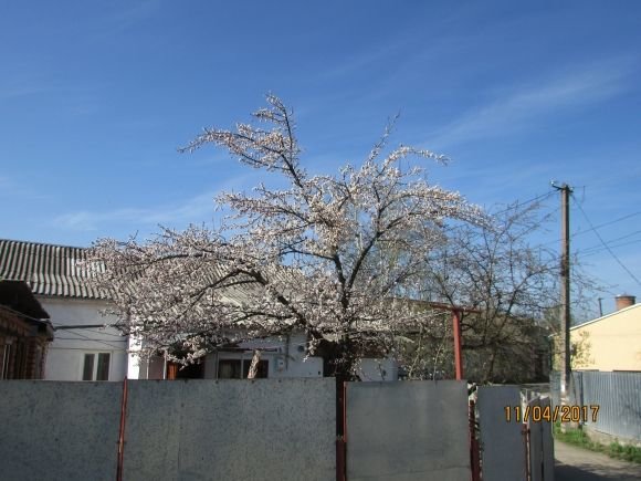 В об'єктиві — позитиви і негативи благоустрою Козятина на сайті 20minut.ua В об'єктиві — позитиви і негативи благоустрою Козятина, фото №6 на сайті 20minut.ua