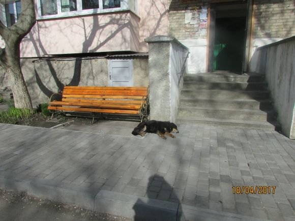 Пасхальний Козятин в третій день Пасхи, 18 квітня, вівторок, фото №2 на сайті 20minut.ua