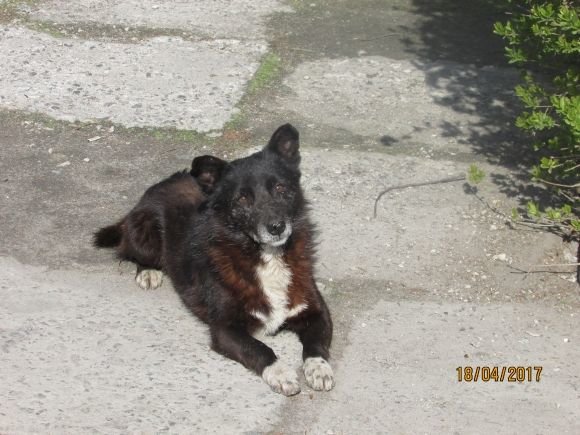 Пасхальний Козятин в третій день Пасхи, 18 квітня, вівторок, фото №16 на сайті 20minut.ua