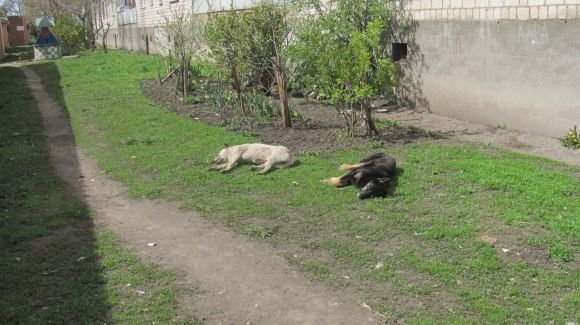 Пасхальний Козятин в третій день Пасхи, 18 квітня, вівторок, фото №31 на сайті 20minut.ua