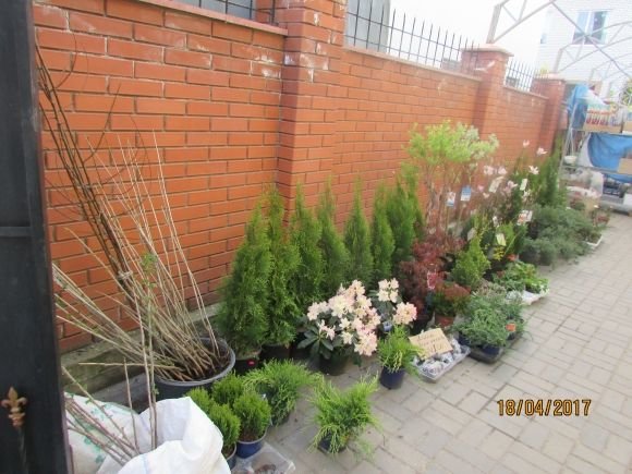 Пасхальний Козятин в третій день Пасхи, 18 квітня, вівторок, фото №13 на сайті 20minut.ua