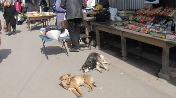 Пасхальний Козятин в третій день Пасхи, 18 квітня, вівторок, фото №20 на сайті 20minut.ua