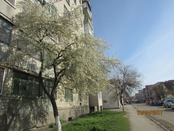 Пасхальний Козятин в третій день Пасхи, 18 квітня, вівторок, фото №7 на сайті 20minut.ua