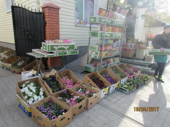 Пасхальний Козятин в третій день Пасхи, 18 квітня, вівторок, фото №11 на сайті 20minut.ua