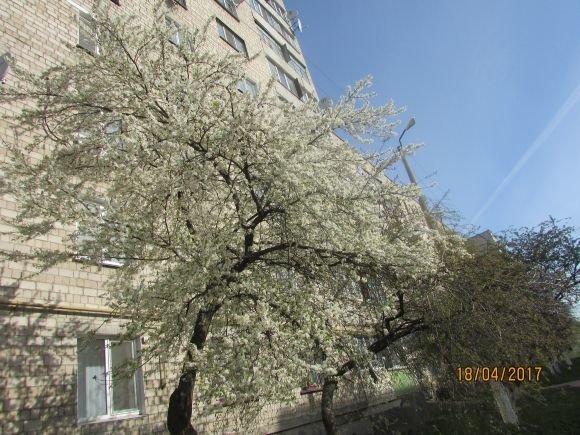 Пасхальний Козятин в третій день Пасхи, 18 квітня, вівторок, фото №5 на сайті 20minut.ua