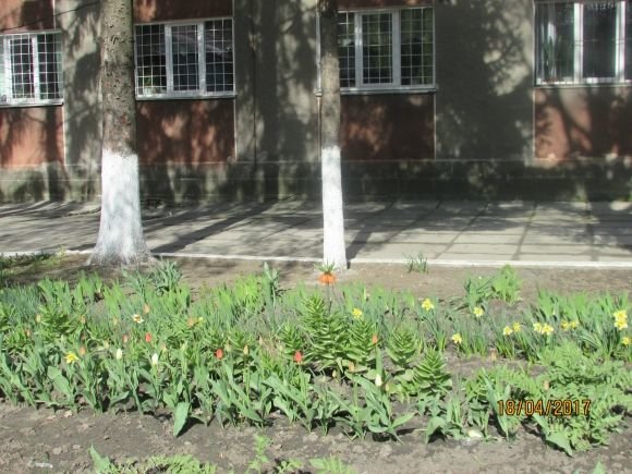 Пасхальний Козятин в третій день Пасхи, 18 квітня, вівторок, фото №18 на сайті 20minut.ua