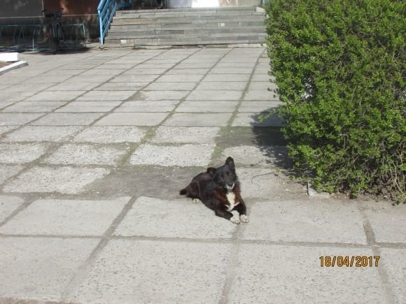 Пасхальний Козятин в третій день Пасхи, 18 квітня, вівторок, фото №15 на сайті 20minut.ua